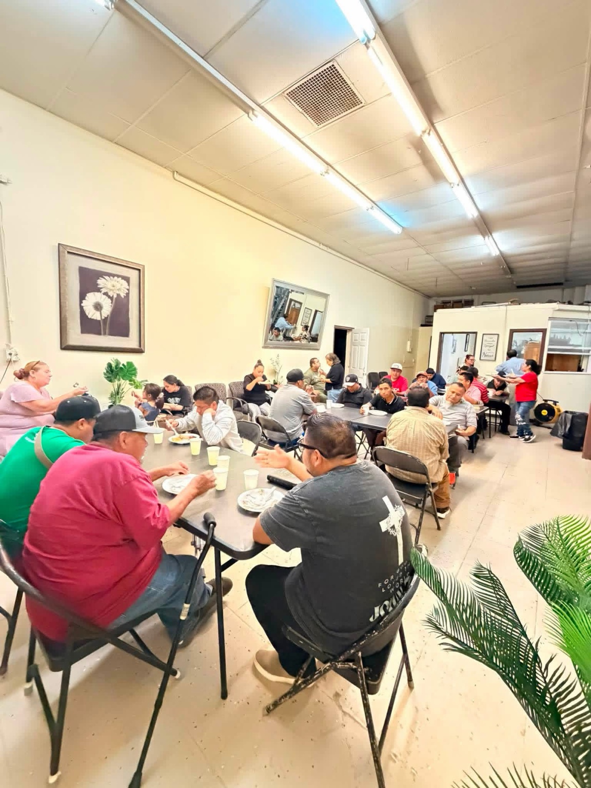 Convivencia